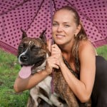 pit-bull-in-rain