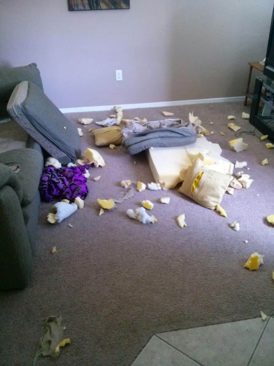 Town Up Couch