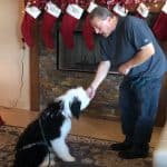 Dog Training Tucson